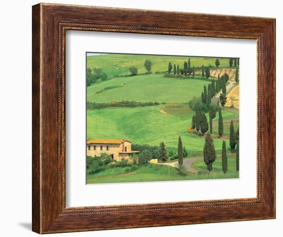 Curvy Tuscan Road, Tuscany, Italy-Walter Bibikow-Framed Photographic Print