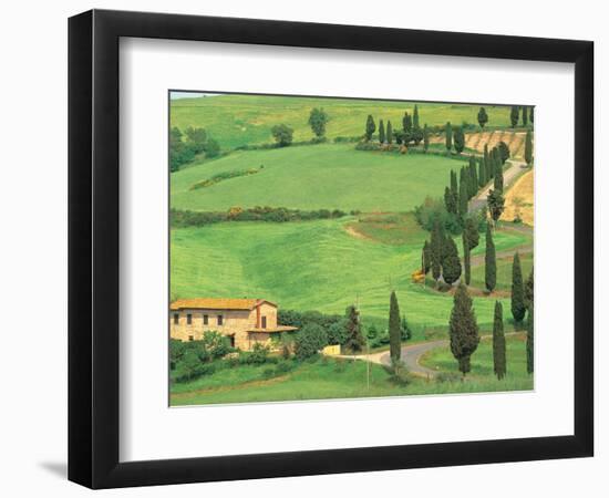 Curvy Tuscan Road, Tuscany, Italy-Walter Bibikow-Framed Photographic Print