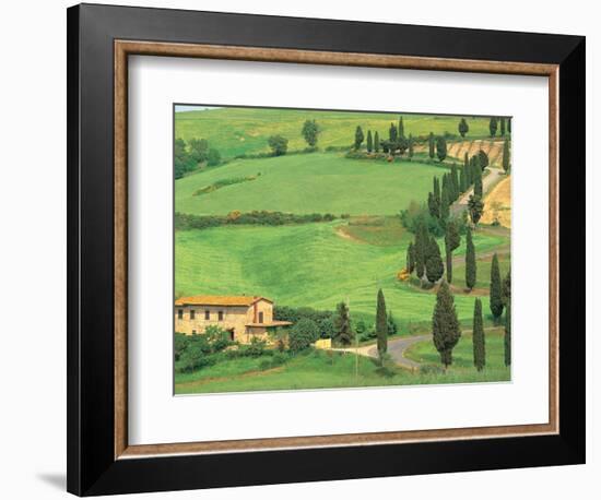 Curvy Tuscan Road, Tuscany, Italy-Walter Bibikow-Framed Photographic Print