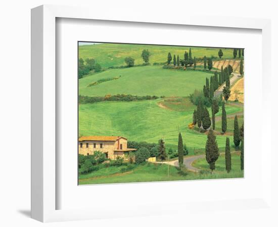 Curvy Tuscan Road, Tuscany, Italy-Walter Bibikow-Framed Photographic Print