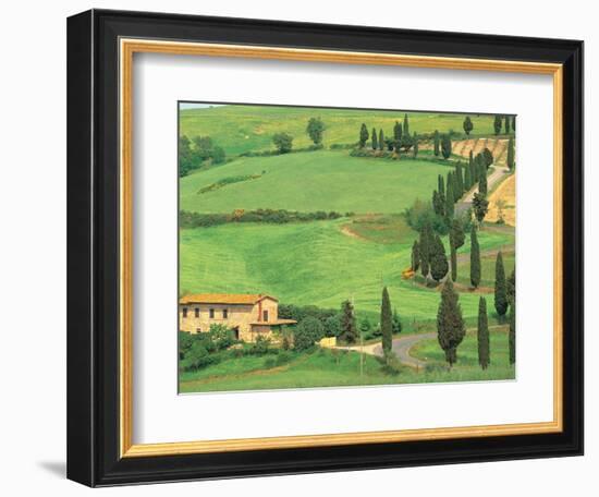 Curvy Tuscan Road, Tuscany, Italy-Walter Bibikow-Framed Photographic Print