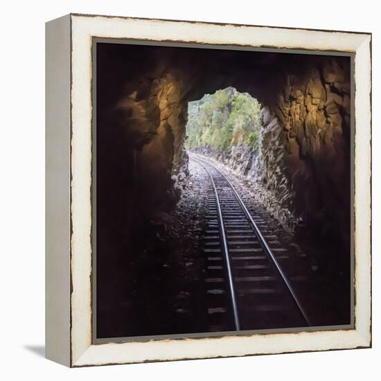 Cusco Region, Peru. Machu Pichu-Cusco Railway. A shot from a train exiting a tunnel-Janet Muir-Framed Premier Image Canvas