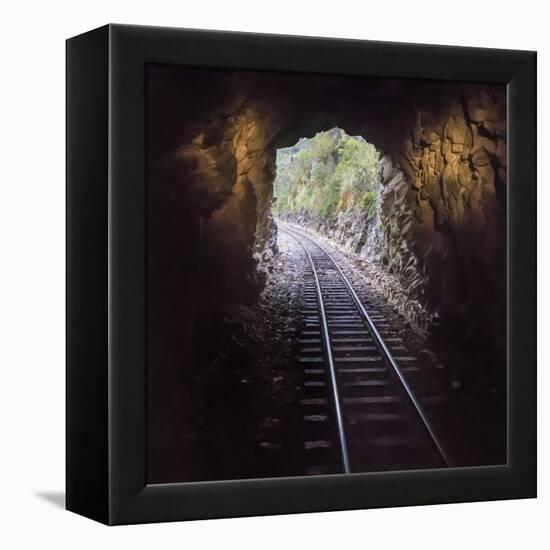 Cusco Region, Peru. Machu Pichu-Cusco Railway. A shot from a train exiting a tunnel-Janet Muir-Framed Premier Image Canvas