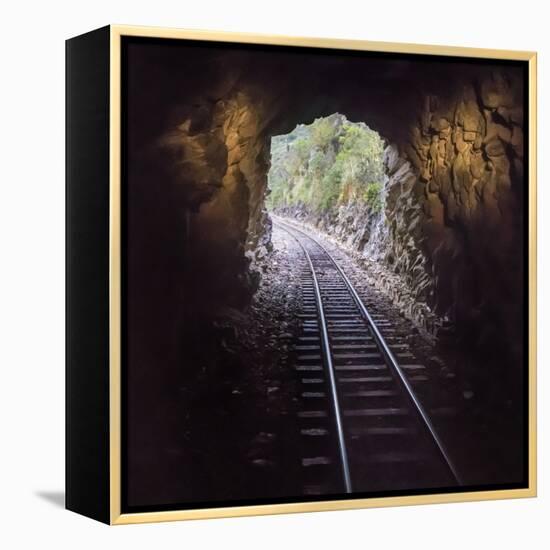 Cusco Region, Peru. Machu Pichu-Cusco Railway. A shot from a train exiting a tunnel-Janet Muir-Framed Premier Image Canvas