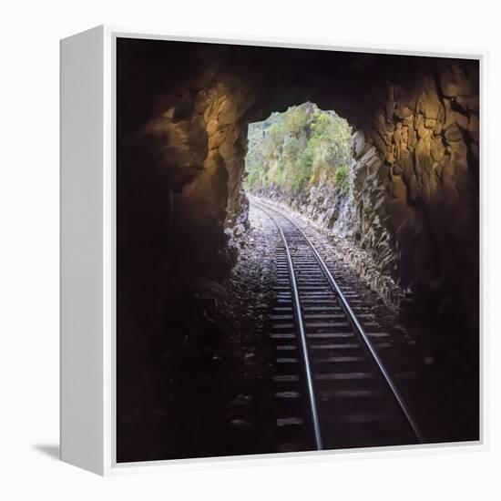 Cusco Region, Peru. Machu Pichu-Cusco Railway. A shot from a train exiting a tunnel-Janet Muir-Framed Premier Image Canvas
