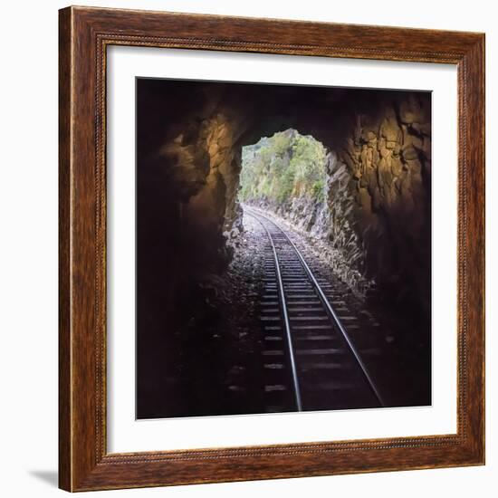 Cusco Region, Peru. Machu Pichu-Cusco Railway. A shot from a train exiting a tunnel-Janet Muir-Framed Photographic Print