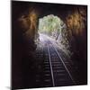 Cusco Region, Peru. Machu Pichu-Cusco Railway. A shot from a train exiting a tunnel-Janet Muir-Mounted Photographic Print