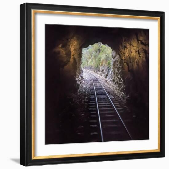 Cusco Region, Peru. Machu Pichu-Cusco Railway. A shot from a train exiting a tunnel-Janet Muir-Framed Photographic Print