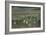 Custer Hill Markers Where 7th Calvary Bodies Were Found after Battle of Little Bighorn, Montana-null-Framed Photographic Print