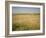 Custer's Last Stand Battlefield, Custer's Grave Site Marked by Dark Shield on Stone, Montana, USA-Geoff Renner-Framed Photographic Print