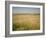 Custer's Last Stand Battlefield, Custer's Grave Site Marked by Dark Shield on Stone, Montana, USA-Geoff Renner-Framed Photographic Print