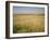 Custer's Last Stand Battlefield, Custer's Grave Site Marked by Dark Shield on Stone, Montana, USA-Geoff Renner-Framed Photographic Print