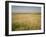 Custer's Last Stand Battlefield, Custer's Grave Site Marked by Dark Shield on Stone, Montana, USA-Geoff Renner-Framed Photographic Print