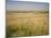 Custer's Last Stand Battlefield, Custer's Grave Site Marked by Dark Shield on Stone, Montana, USA-Geoff Renner-Mounted Photographic Print