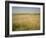 Custer's Last Stand Battlefield, Custer's Grave Site Marked by Dark Shield on Stone, Montana, USA-Geoff Renner-Framed Photographic Print