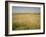 Custer's Last Stand Battlefield, Custer's Grave Site Marked by Dark Shield on Stone, Montana, USA-Geoff Renner-Framed Photographic Print