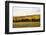 Custer State Park-null-Framed Photographic Print