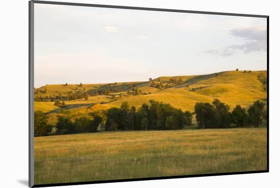 Custer State Park-null-Mounted Photographic Print