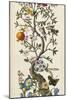 Custom Chinoiserie Natura I (SM)-Naomi McCavitt-Mounted Art Print