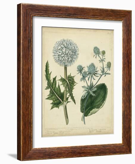 Custom Cottage Florals III (DA)-Sydenham Edwards-Framed Art Print