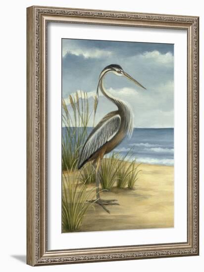 Custom Crop Shore Bird I (ST)-Ethan Harper-Framed Art Print