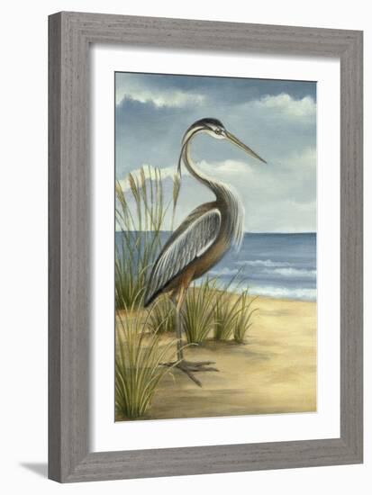 Custom Crop Shore Bird I (ST)-Ethan Harper-Framed Art Print