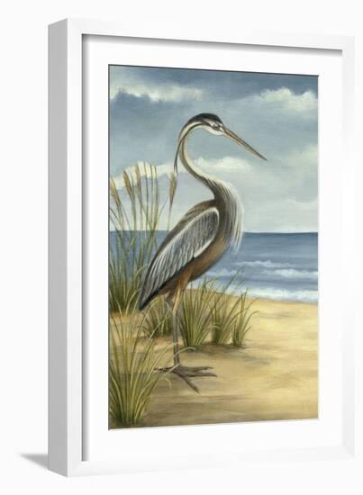 Custom Crop Shore Bird I (ST)-Ethan Harper-Framed Art Print