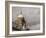 Custom House, Dublin, Ireland-Sergio Pitamitz-Framed Photographic Print