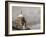 Custom House, Dublin, Ireland-Sergio Pitamitz-Framed Photographic Print