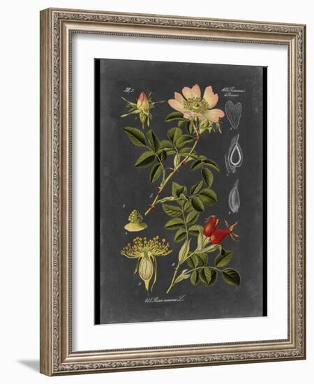 Custom Midnight Botanical I (R)-Vision Studio-Framed Art Print