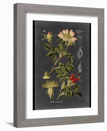 Custom Midnight Botanical I (R)-Vision Studio-Framed Art Print