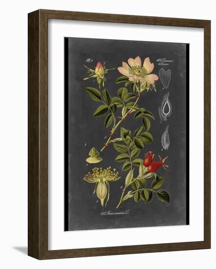 Custom Midnight Botanical I (R)-Vision Studio-Framed Art Print