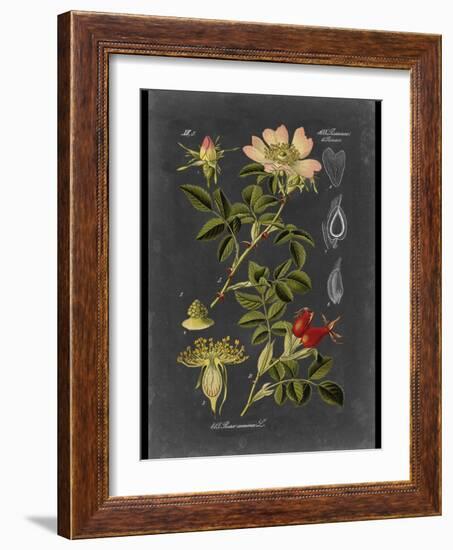 Custom Midnight Botanical I (R)-Vision Studio-Framed Art Print