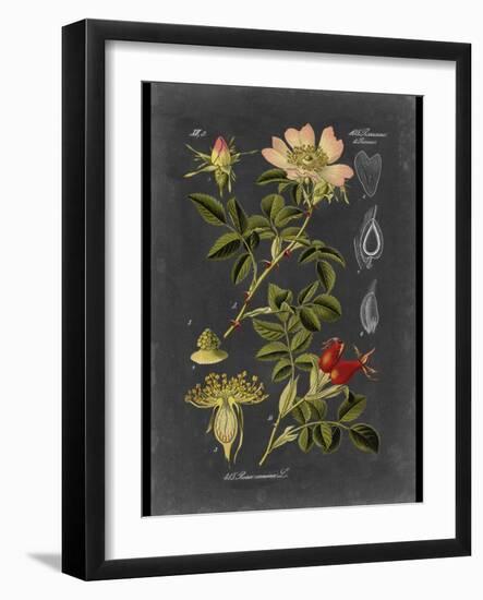 Custom Midnight Botanical I (R)-Vision Studio-Framed Art Print