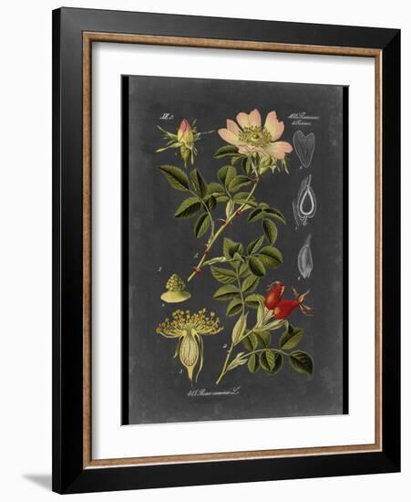 Custom Midnight Botanical I (R)-Vision Studio-Framed Art Print