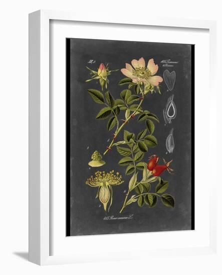 Custom Midnight Botanical I (R)-Vision Studio-Framed Art Print