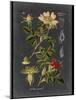 Custom Midnight Botanical I (R)-Vision Studio-Mounted Art Print