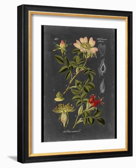 Custom Midnight Botanical I (R)-Vision Studio-Framed Art Print