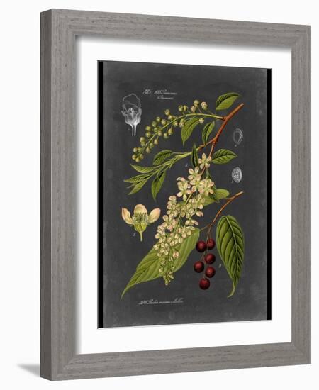 Custom Midnight Botanical II (R)-Vision Studio-Framed Art Print