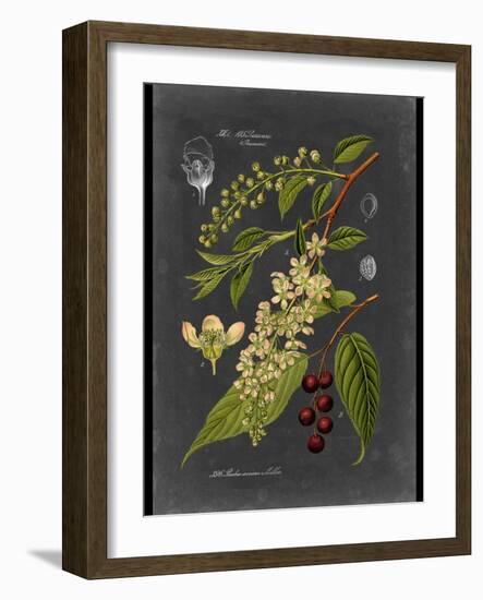 Custom Midnight Botanical II (R)-Vision Studio-Framed Art Print