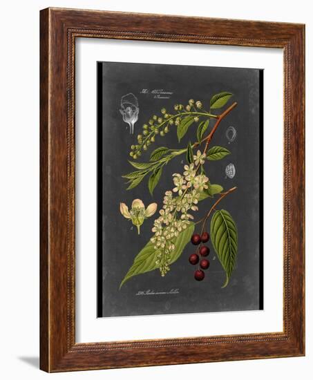 Custom Midnight Botanical II (R)-Vision Studio-Framed Art Print