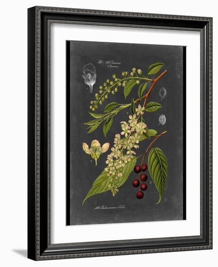 Custom Midnight Botanical II (R)-Vision Studio-Framed Art Print