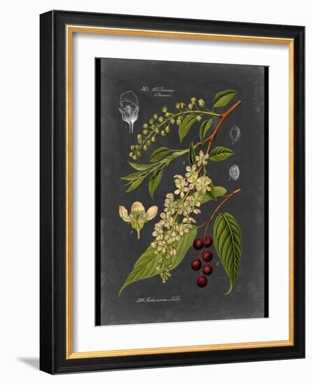 Custom Midnight Botanical II (R)-Vision Studio-Framed Art Print