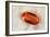 Cut And Polished Crystal of Imperial Topaz-Vaughan Fleming-Framed Photographic Print