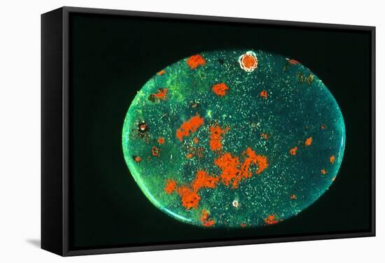 Cut And Polished Piece of Bloodstone-Vaughan Fleming-Framed Premier Image Canvas