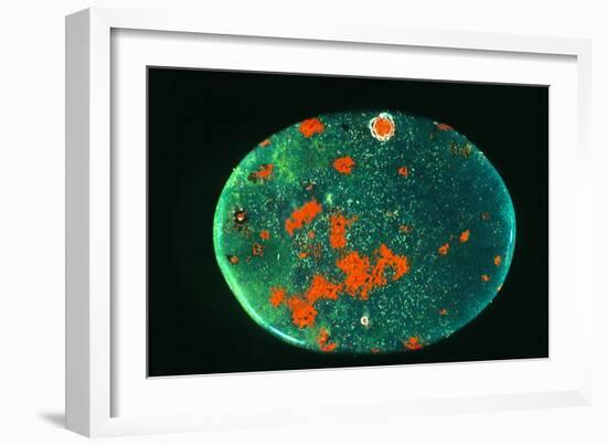 Cut And Polished Piece of Bloodstone-Vaughan Fleming-Framed Photographic Print