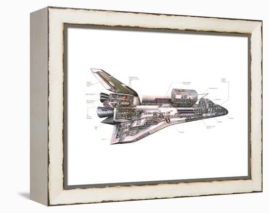 Cut-Away Diagram of the Space Shuttle-null-Framed Stretched Canvas