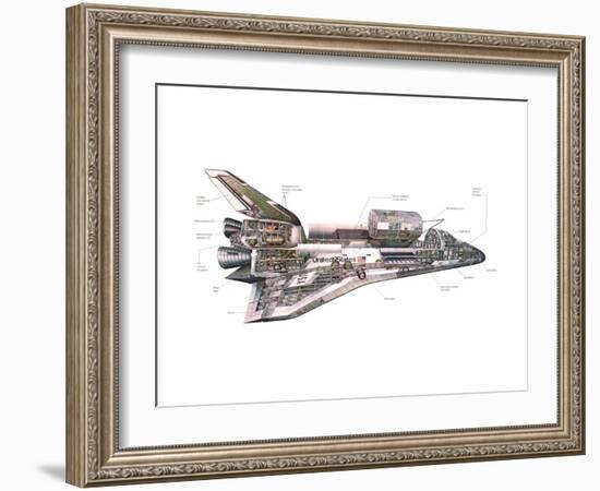 Cut-Away Diagram of the Space Shuttle-null-Framed Photo