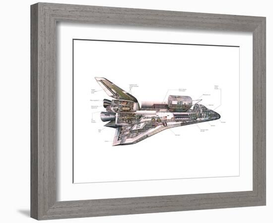 Cut-Away Diagram of the Space Shuttle-null-Framed Photo