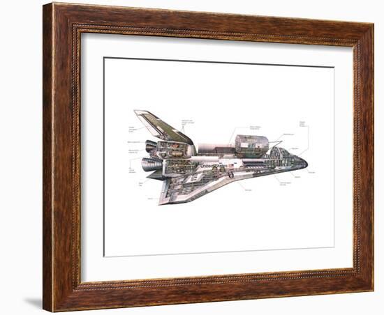 Cut-Away Diagram of the Space Shuttle-null-Framed Photo